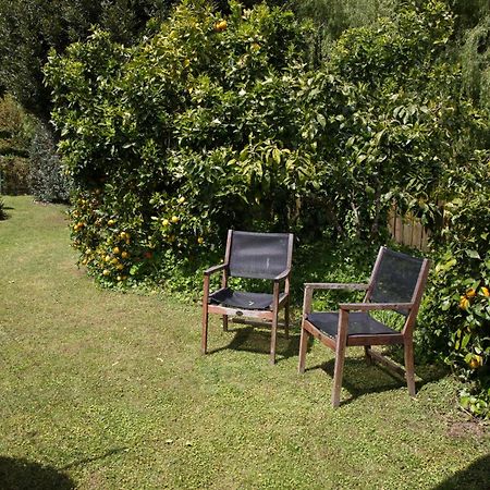 2 Bedrooms With Garage Right On Te Awa River Bike Trail Tamahere Exterior photo